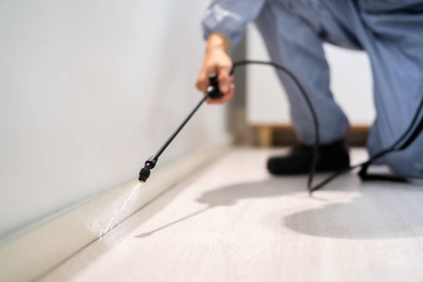 Bed Bug Pre-Treatment Preparation Assessment in Bosque Farms