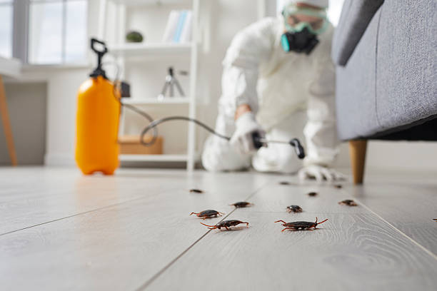Post-Treatment Bed Bug Interceptor Monitoring in Bosque Farms