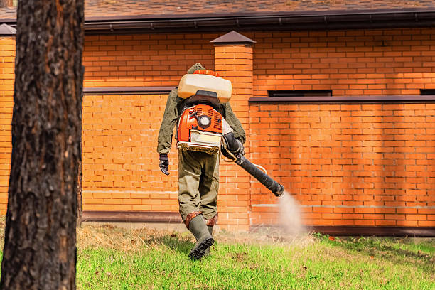 Bed Bug Clearance Verification and Documentation in Bosque Farms